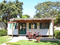 Ferien Bungalow